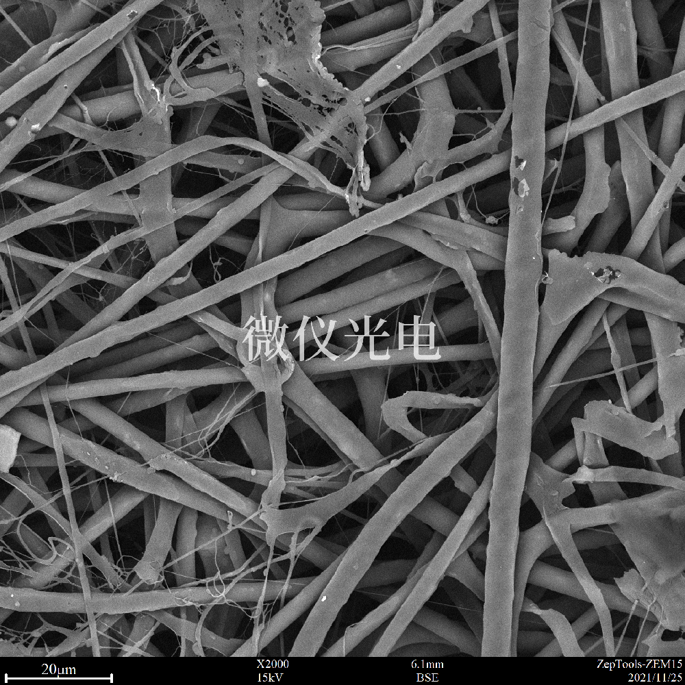 掃描電鏡自動化分析面臨的三個挑戰(zhàn)以及解決方案