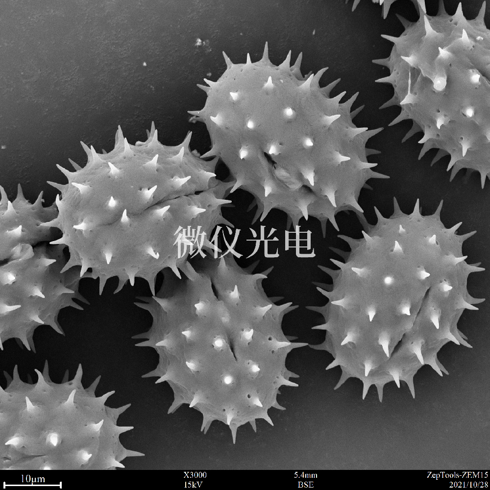 sem掃描電鏡的原理、組成、基本參數(shù)和應(yīng)用的介紹